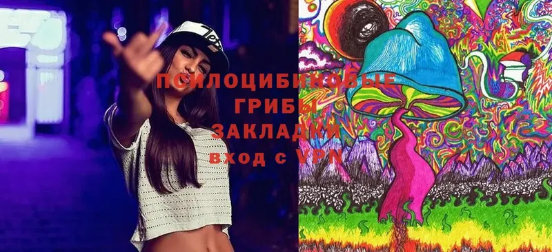 Псилоцибиновые грибы Psilocybe  цены   Усть-Джегута 